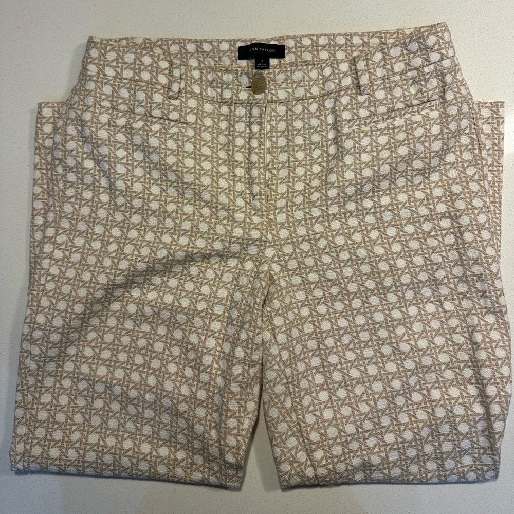 Ann Taylor Men's Beige Geometric Chinos